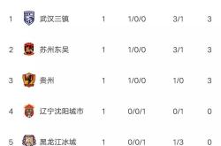 开云体育官网-中南亚球队主场被逆转，积分榜下滑