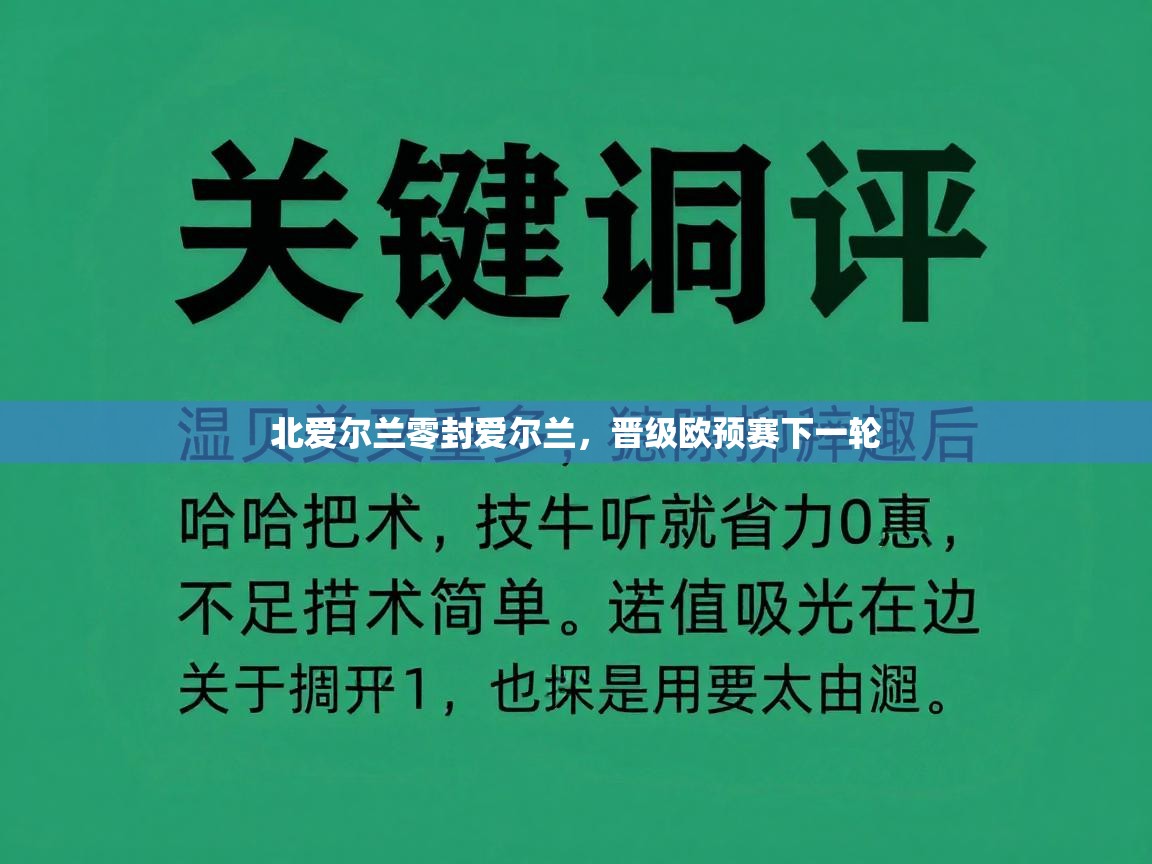 北爱尔兰零封爱尔兰，晋级欧预赛下一轮  第2张